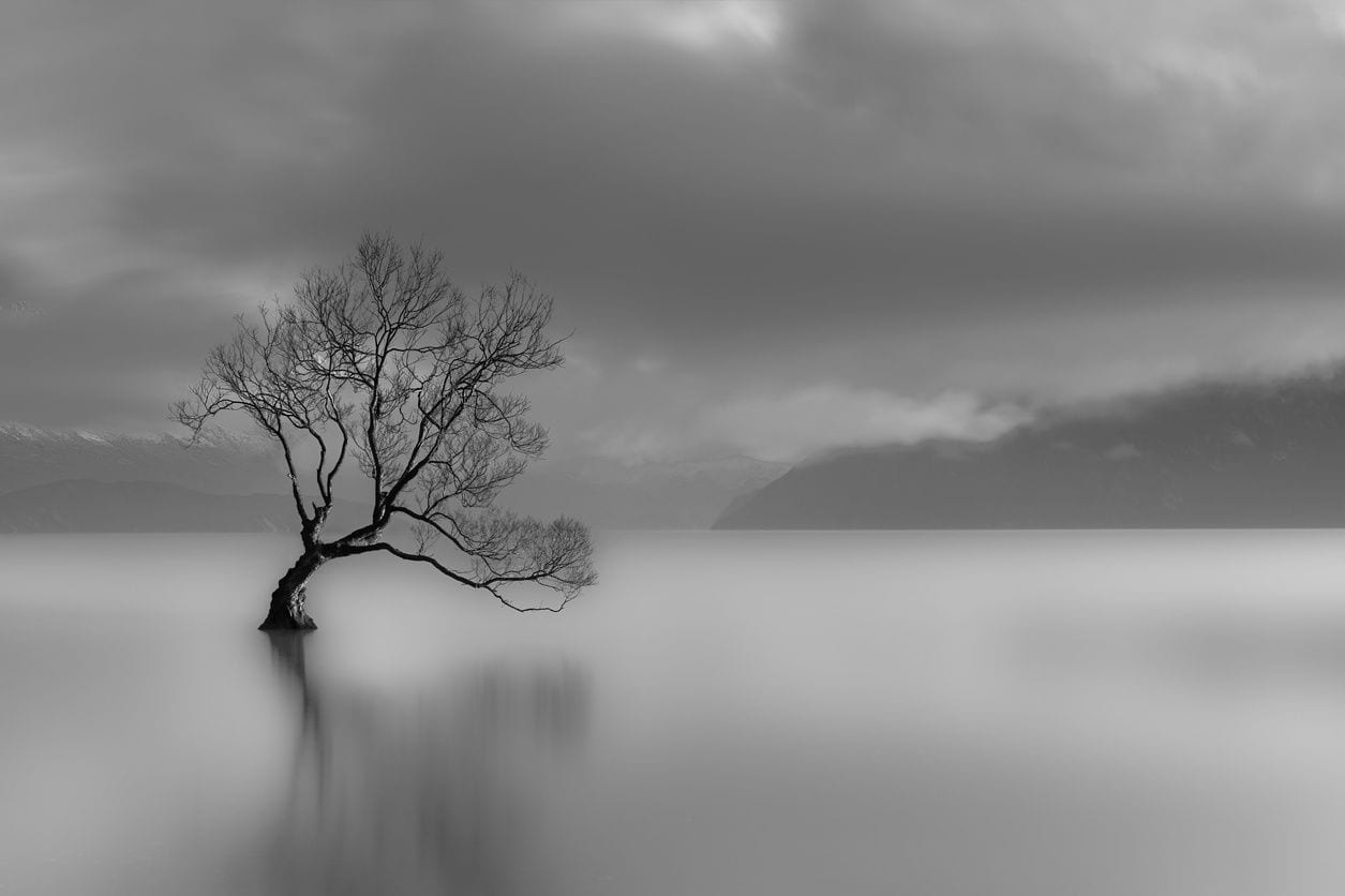 A tree in the middle of water with mountains behind it.