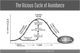 The Vicious Cycle of Avoidance chart.